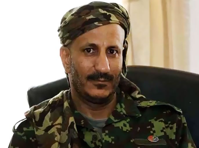 صحيفة:تنامي نفوذ طارق صالح في تعز يستفز الإخوان في اليمن